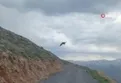 Kartal'ın yılan avı kamerada! | Video