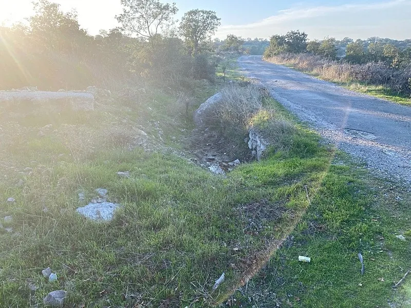Çanakkale'de tüyler ürperten olay! Boş arazide bebek cesedi bulundu (DHA)