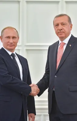 Erdoğan, Putin ile görüşecek