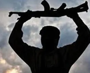 PKKda çözülmeler sürüyor! Muşta 1 terörist teslim oldu