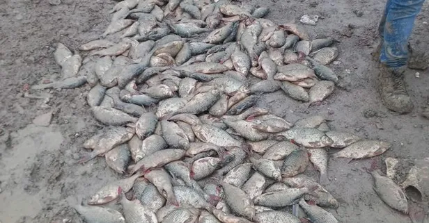 CHP'li İBB'nin döküm sahasına çevirdiği Bolluca Mavi Göl yok olma noktasında! Balıklar can çekişiyor