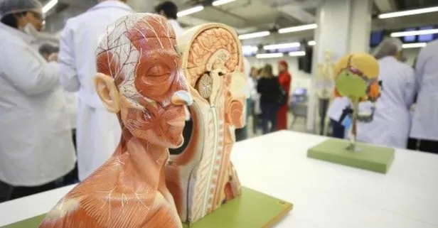 Türkiye’de Bir İlk: Pediatrik hastalarda Skolyoz tedavisi için İple Gerdirme Tekniği Kadavra Kursu