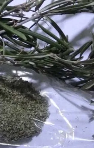 Koronavirüs sonrası talep patlaması! Kilosu 100 lira!