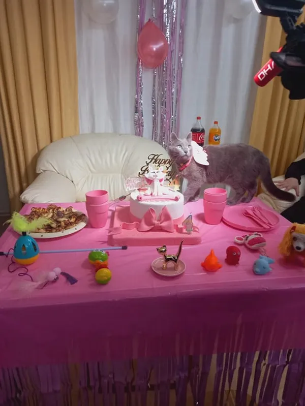 gorulmemis-dogum-gunu-kedi-icin-parti-duzenlediler-1640351127077.jpg