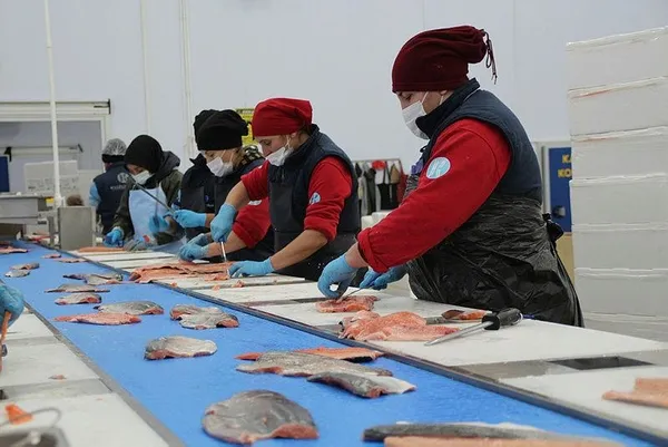 Katie Price geçtiğimiz yaz aylarında Antalya’da talihsiz bir kaza geçirdi: Hayat boyu engelli kalacak (Güncel haberler)-7