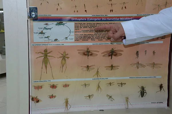 1608188450148.jpg Haritada gösterip uyardı! Önlem alınmazsa Türkiye'yi istila edecekler-3