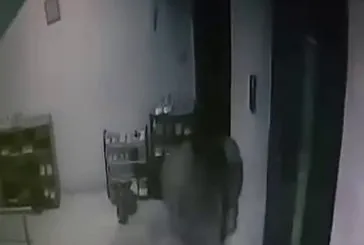 Kediyi sopayla dövdü