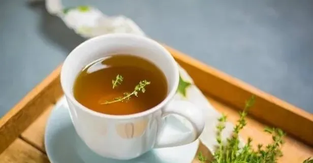 Yaralara kekik şifası! Bin derde deva