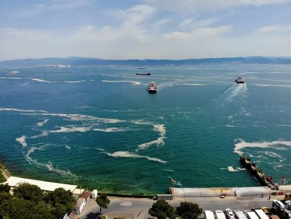 bursa-temizledi-istanbul-sahiplendi-salya-yalani-1622353469423.jpg CHP'li belediyeden 'salya' yalanı: Bursa temizlenlendi İBB sahiplendi!-2