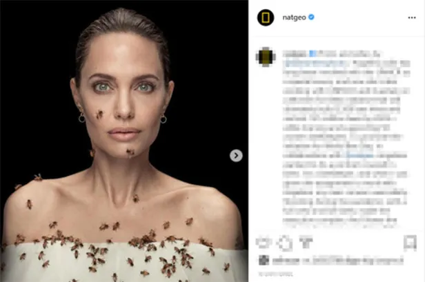 Angelina Jolie arılarla kamera karşısına geçti! 18 dakika boyunca üzerinde arılar gezdi...-3