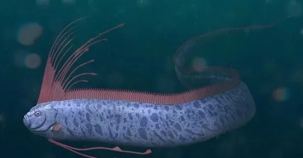 Felaketlerden önce ortaya çıkmasıyla biliniyordu: Depremi haber verdi