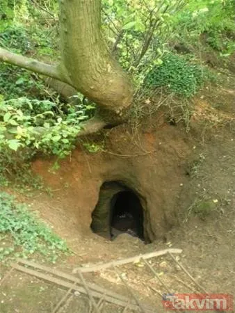 Herkes tavşan deliği sanıyordu ama... Gerçeği görenler gözlerine inanamadı! İşte akıllara durgunluk veren o mağara...