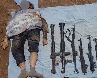 PKK’nın Nusaybin sorumlusu öldürüldü