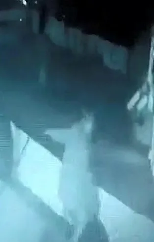 İzmit Körfezi’nde kahreden ölüm! Gemiye çıkmaya çalışırken denize düştü