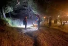 Pendik'te ormanda kaybolan kişi için ekipler harekete geçti!