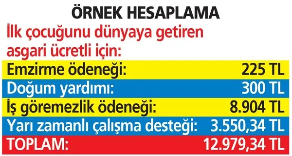 Çalışan anneye devletten dev destek! En az 12.979 TL veriliyor - 6