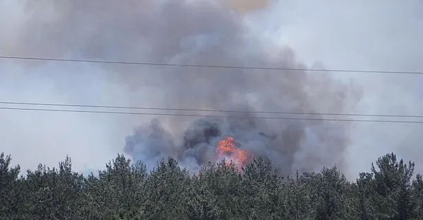 Orman yangınlarıyla mücadele! Hangi illerde kontrol altında? İzmir'deki yangın kontrol altında | 3 şüpheli gözltında
