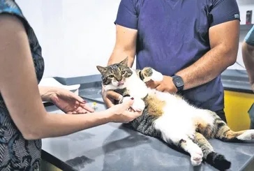 Diya’’pati’’k mucize