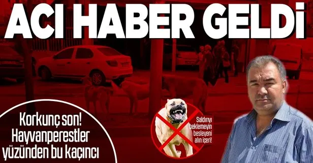Korkunç son! Günler sonra acı haber geldi