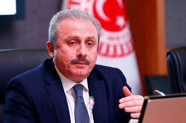 TBMM Başkanı Şentop'tan İzlanda'ya tepki