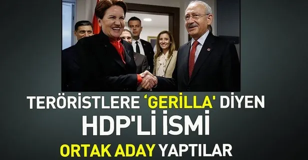 Teröristlere ’gerilla’ diyen HDP’li isim CHP ve İP’in ortak odayı oldu