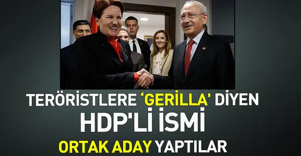 Teröristlere 'gerilla' diyen HDP'li isim CHP ve İP’in ortak odayı oldu
