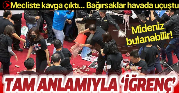 Tayvan'da iğrenç olay! Mecliste kavga çıktı bağırsaklar havada uçuştu