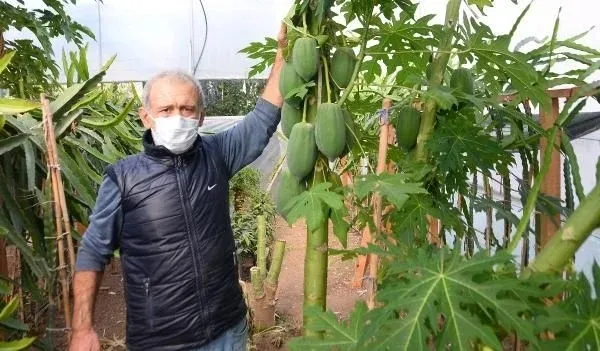 Paraya para demiyor! Bir sezonda kazandığı para dudak uçuklattı! İspanya'da tadına baktı Mersin'e getirdi!-2