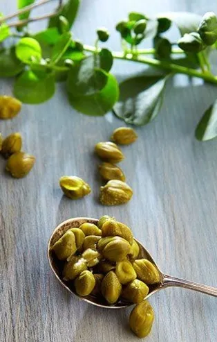 Kapari otunun faydaları nelerdir? Kapari bitkisi ne işe yarar , nasıl kullanılır?