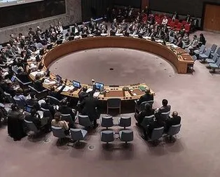 BM Güvenlik Konseyi’ne yeni üyeler seçildi