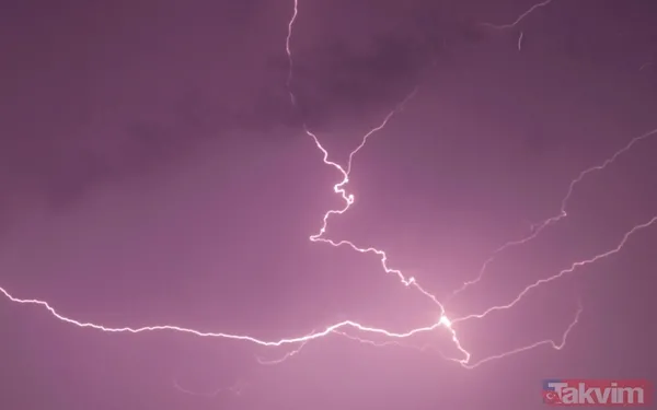 UZUN BİR YAŞAM SÜRDÜ Tüm bu olağanüstü olaylara rağmen Roy Sullivan uzun bir yaşam sürdü ve 72 yaşına kadar yaşadı.