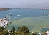 CHP'li belediyenin duyarsızlığı Fethiye Körfezi'ni kirletti!