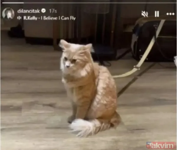 Dilan Çıtak Tatlıses