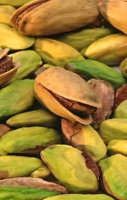 Fıstık gibi mutluluk!
