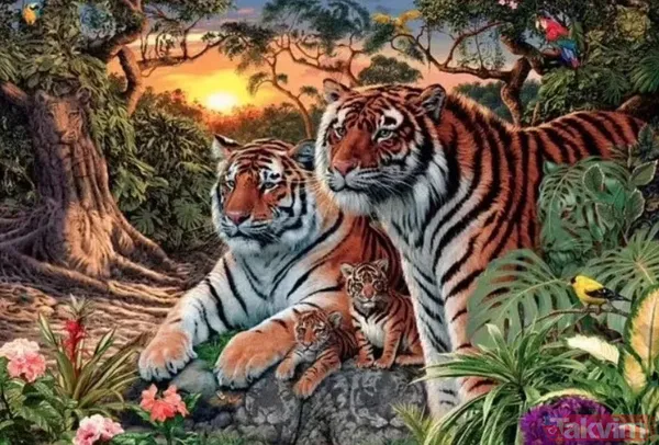 Bu fotoğraf bakanlara saç baş yoldurdu! Bir leopar var ama hadi bulun bulabilirseniz! Zor olduğuna eminiz arayanların yüzde 99'u vazgeçti - 13