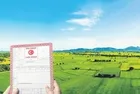 Yeni tapu düzenlemesi geliyor: 2B kapsamı dışında kalan arazilerin mülkiyet anlaşmazlıkları giderilecek