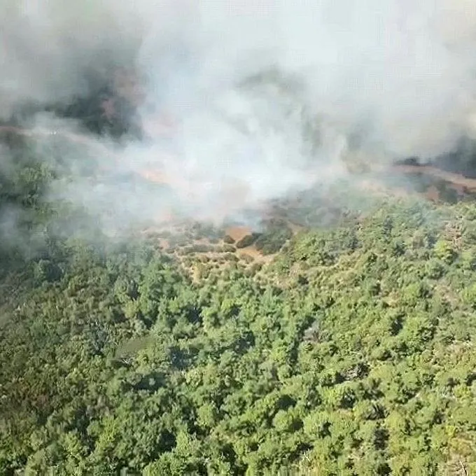 Manisa’da orman yangını!