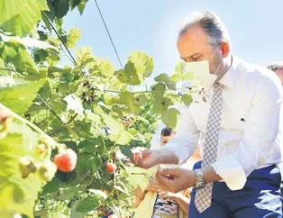 Toprak bereketleniyor Bursa kazanıyor