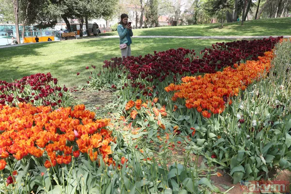 İstanbul Gülhane Parkı 10 katı ziyaretçi ağırladı! Laleler talan edildi - 11
