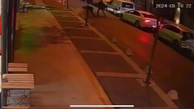 Kağıthane'de Filistinli iş adamına suikast olayında tutuklama | Araç yakıp değiştirdiler-7