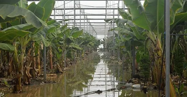 Antalya kuvvetli sağanak ve hortum seralara zarar verdi