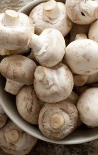 Mantar toksin atar (Sağlık haberleri)