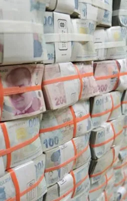 Kamuda görülmemiş kâr oranı