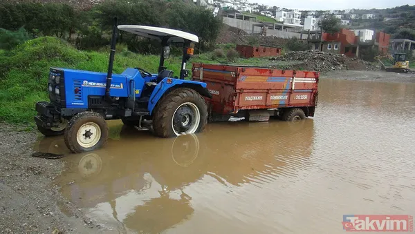 Muğla Bodrum'da hep aynı manzara! Evleri su bastı, sokak hayvanları boğuldu - 25