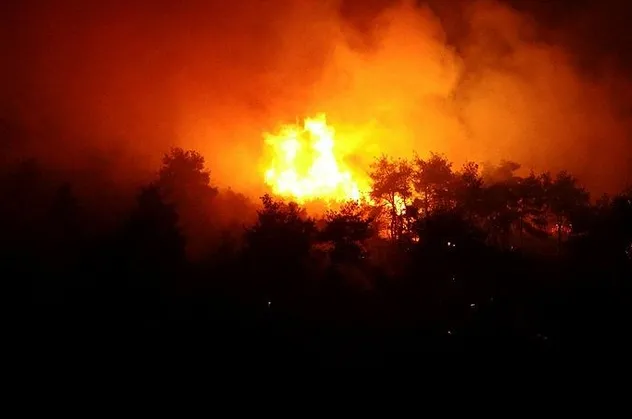 Bursa'da orman yangını!