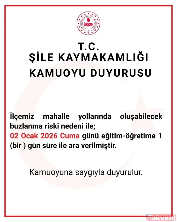 İstanbul'da 5 ilçede eğitime ara! Valilikler peş peşe açıkladı: Şehir şehir kar tatili raporu - 11