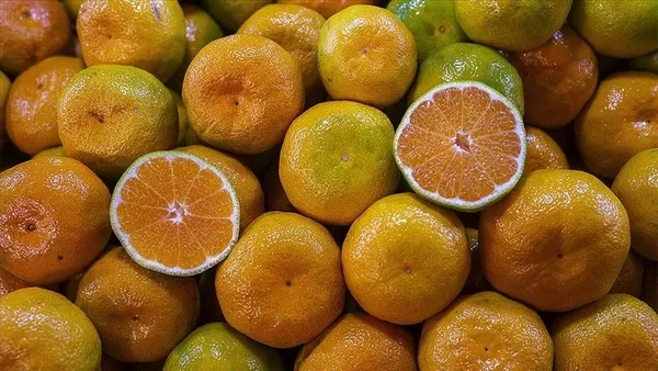 turkiyenin-mandalina-ihracati-yuzde-47-artarak-174-milyon-dolara-yukseldi-1605860435489.jpg