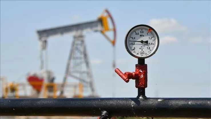 Petrolde 200 dolar riskine Gabar kalkanı! Berat Albayrak dönemindeki enerji hamlesi Türkiye’nin elini güçlendirdi-9