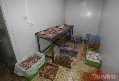 Son dakika: İzmir Buca’da gıda terörü! Bu görüntülere mide dayanmaz