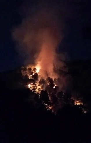 Son dakika: Kartal Aydos Ormanı'nda yangın!